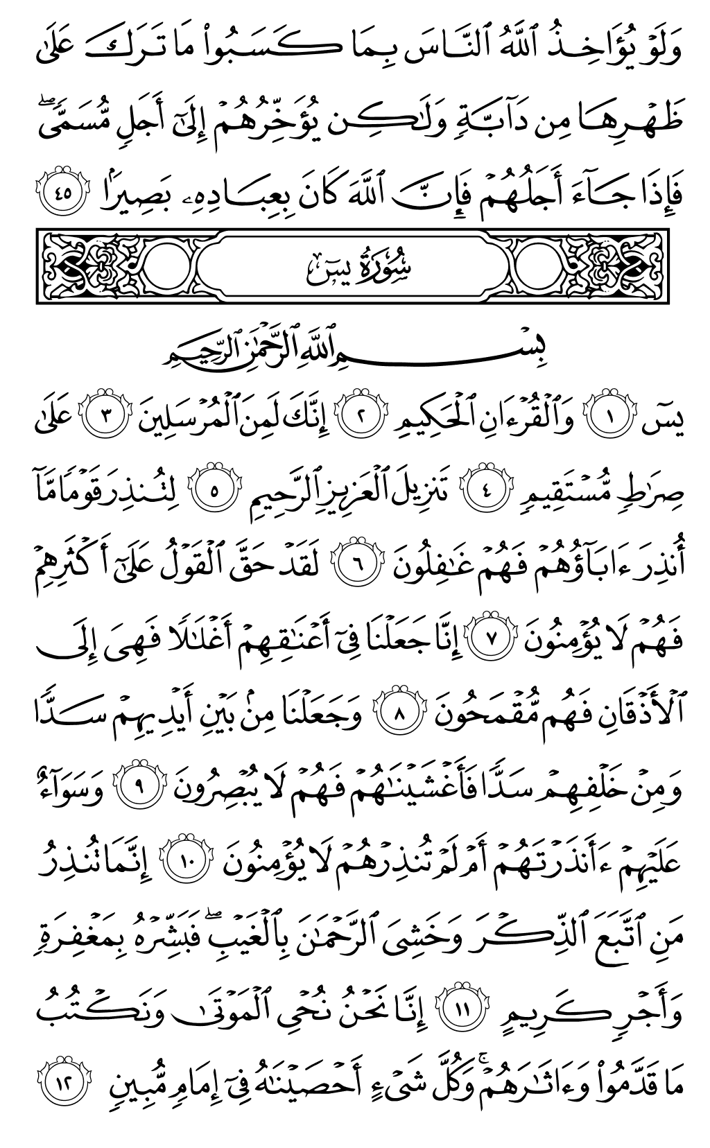 surah yasin noble quran